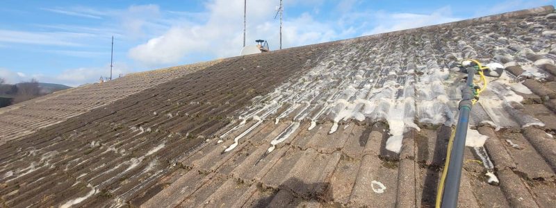 Squeeky Clean team delivering expert roof and exterior cleaning across Dublin, Wicklow, Kildare and Meath