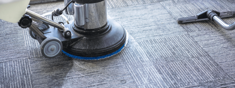 Carpet Cleaning