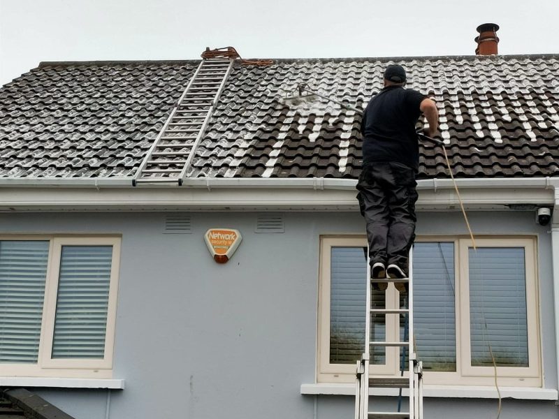 Roof Cleaning Process3