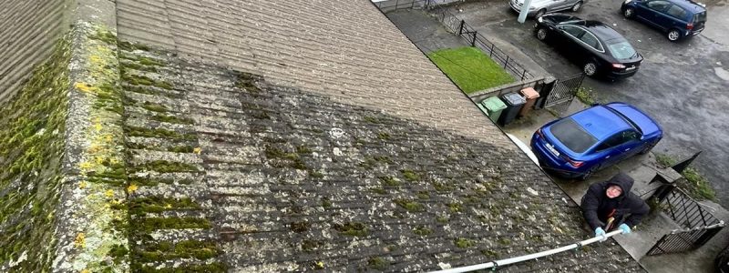 Roof Cleaning Process7