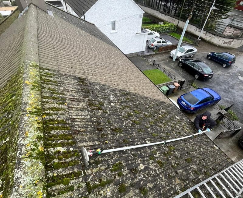 Roof Cleaning Process7