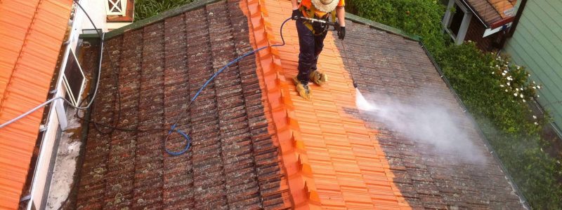 squeeky aclean - roof cleaning2